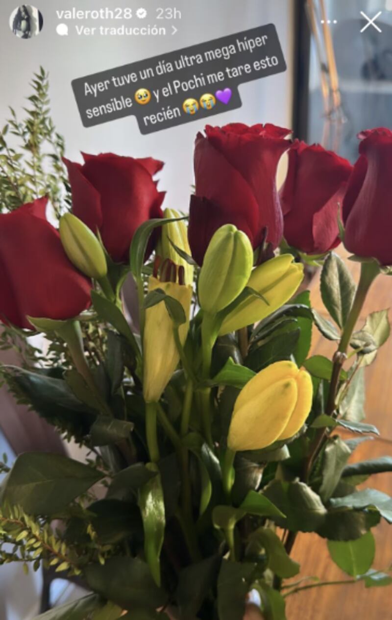 Historia de Valentina Roth | Instagram