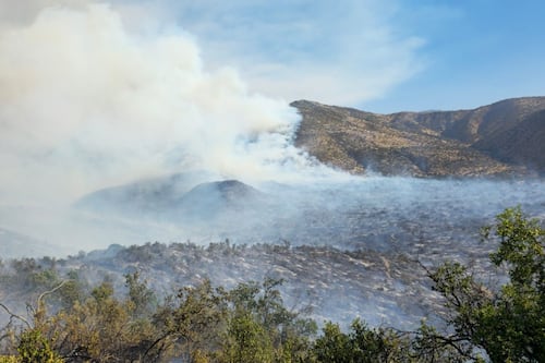 Incendio forestal en San Carlos de Apoquindo supera las 800 hectáreas y mantiene alerta amarilla en Las Condes