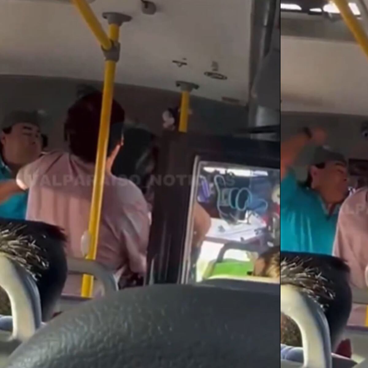 Chofer despedido por agredir a estudiante en micro de Viña del Mar Chofer despedido por agredir a estudiante en micro de Viña del Mar