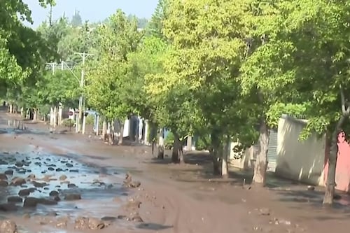 Senapred entregó un balance tras las intensas lluvias de este sábado: 341 viviendas resultaron dañadas