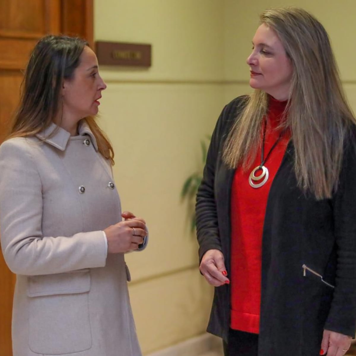 Diputadas piden al Gobierno agilizar certificación para discapacitados Diputadas piden al Gobierno agilizar certificación para discapacitados