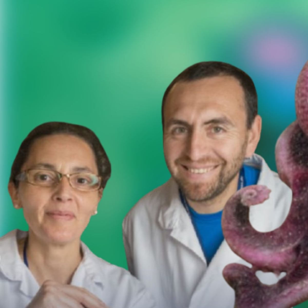 Descubren nueva especie de pulpo en aguas profundas del Océano Pacífico Descubren nueva especie de pulpo en aguas profundas del Océano Pacífico