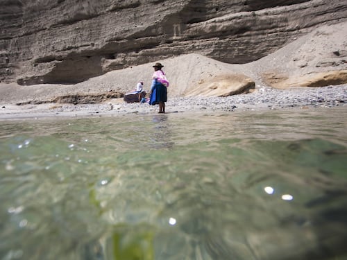 Tortugas y aves muertas aparecen en Mejillones tras derrame de ácido sulfúrico en el mar