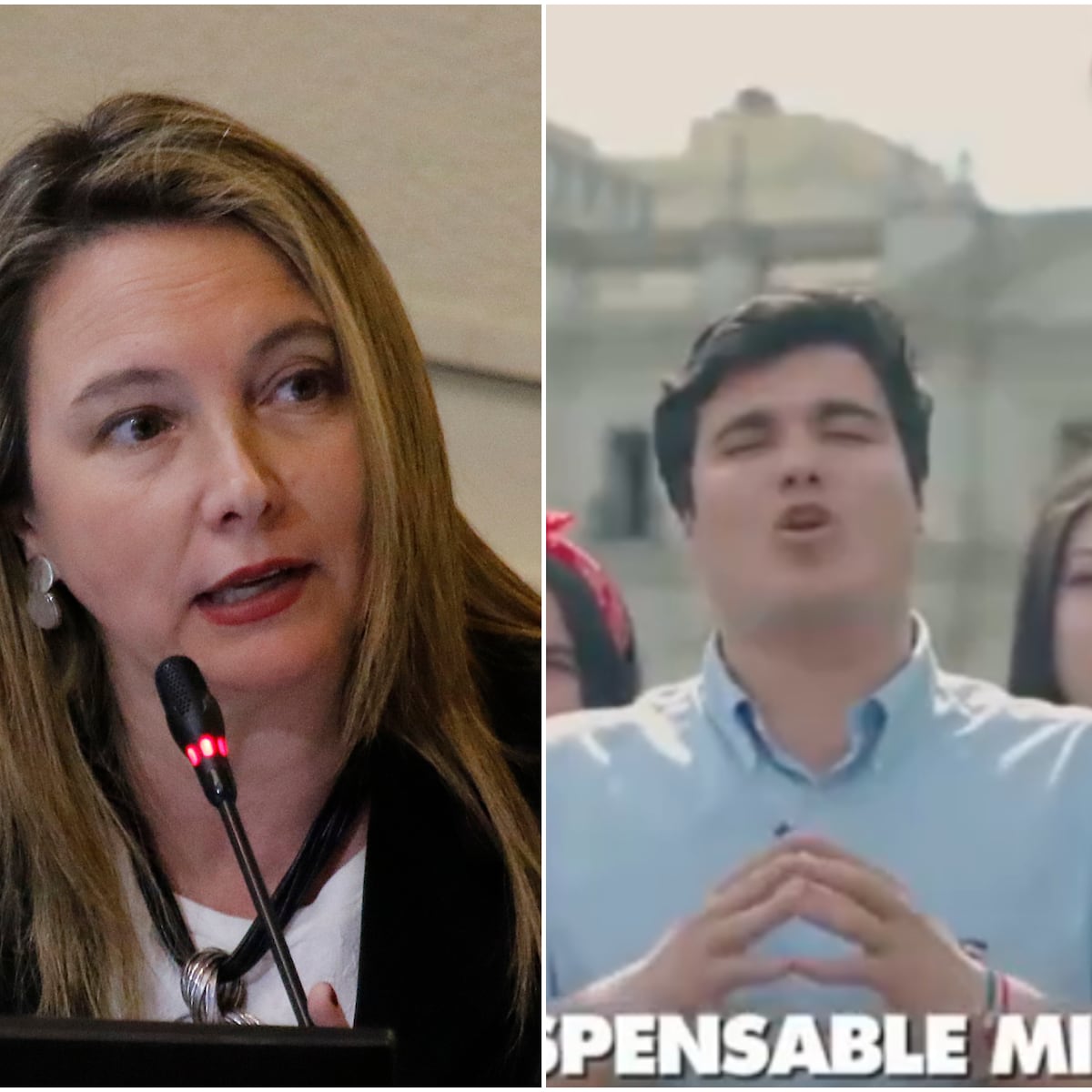 Diputada del Partido Republicano respalda video de jóvenes que celebraron golpe de Estado Diputada del Partido Republicano respalda video de jóvenes que celebraron golpe de Estado