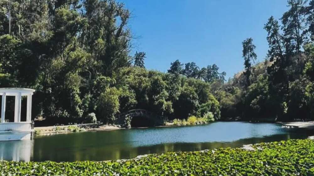 Jardín Botánico de Viña del Mar | Fuente: Instagram