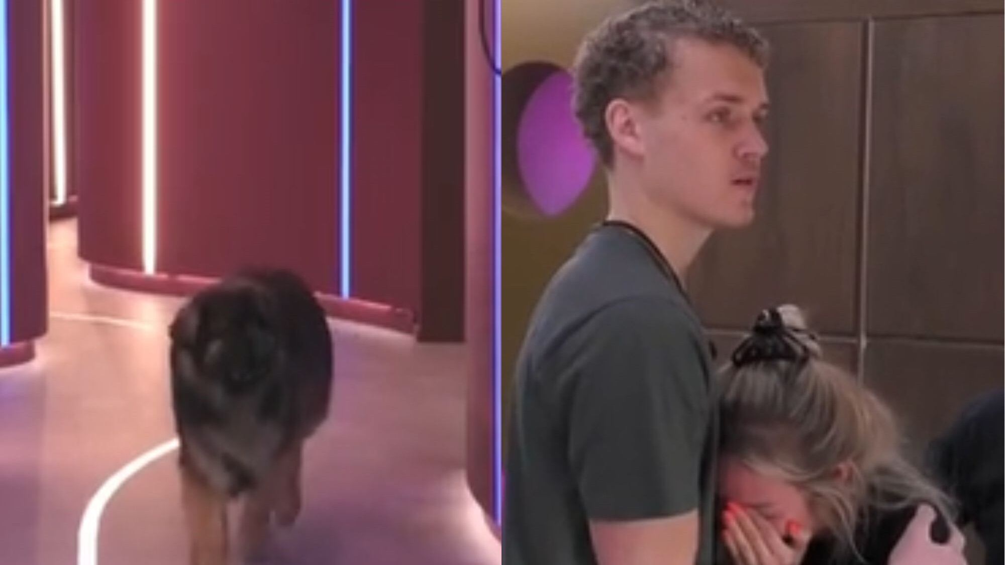 Prueba del "congelado" en Gran Hermano de Holanda