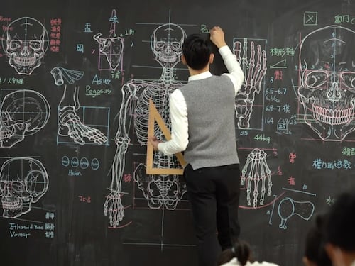 ¡Máxima precisión! Profesor de medicina se vuelve viral por sus detallados dibujos de anatomía