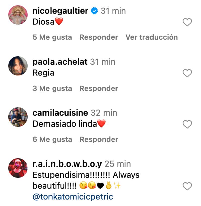 Comentarios sobre Tonka Tomicic | Captura: Instagram