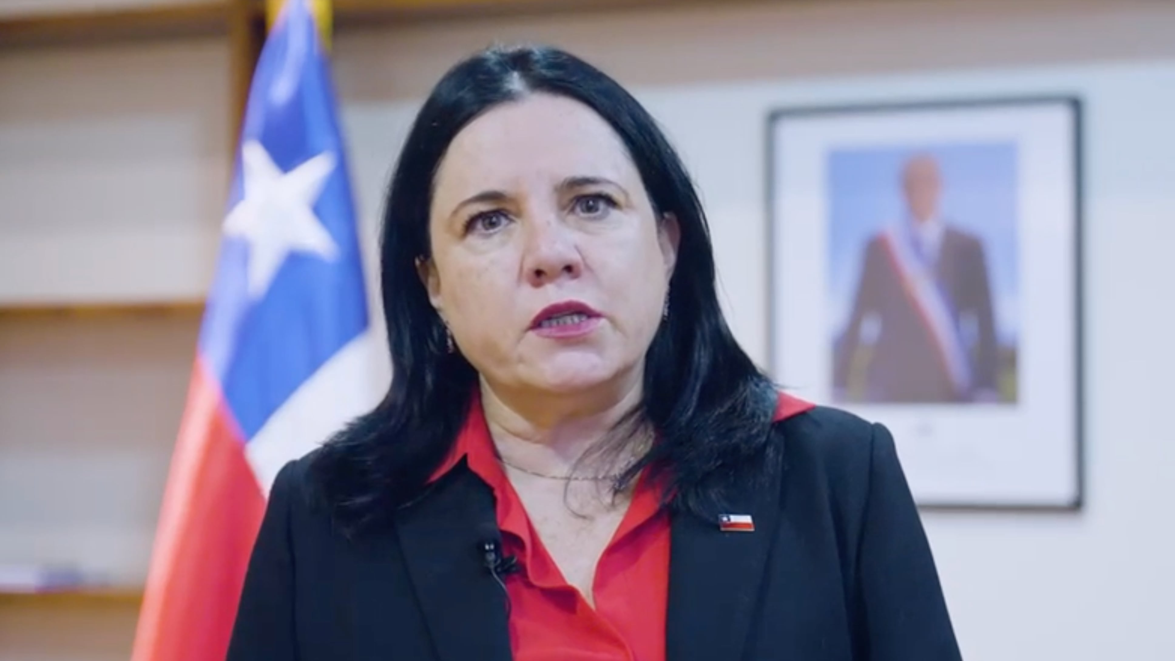 La ministra de Seguridad, Trinidad Steinert, indicó que se pedirán las medidas "más gravosas" para los detenidos por agresión a Ximena Lincolao