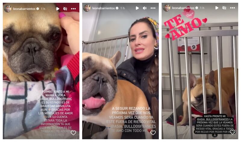 La mediática tiene desde ayer internada en una clínica veterinaria a su mascota Asia.