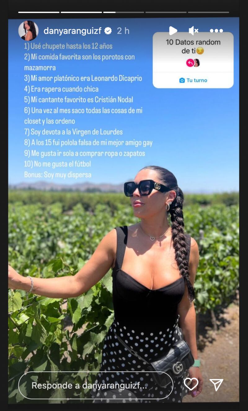 Historia de Daniela Aránguiz | Fuente: Instagram