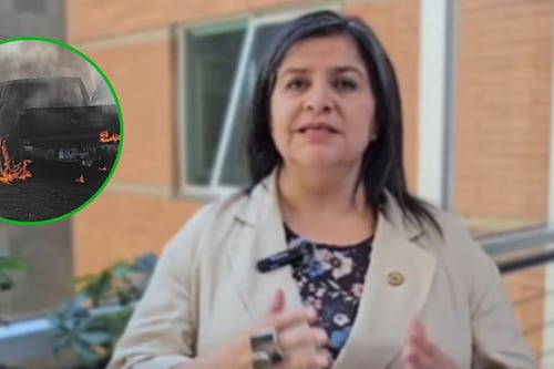 Nuevo ataque incendiario en el sur de Chile: grupo radical mapuche se adjudica atentado en Contulmo