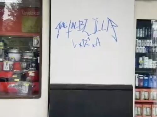 Rayados y peleas: hinchas de la U protagonizaron desmanes en Arequipa antes del debut en Libertadores