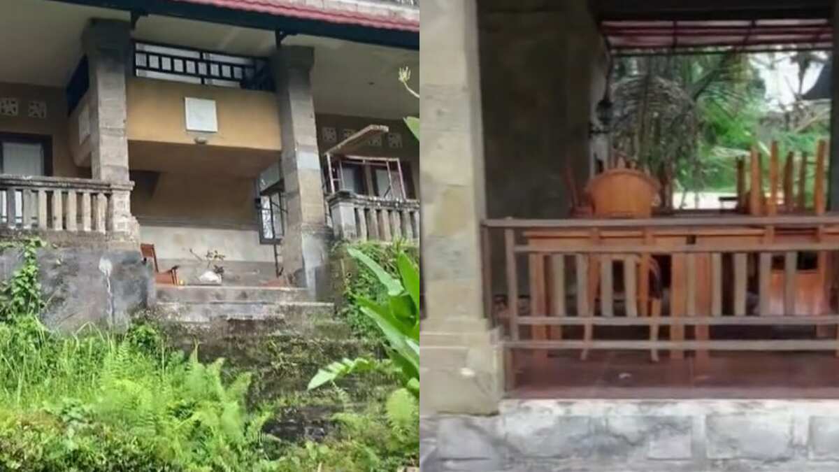 El video se volvió viral