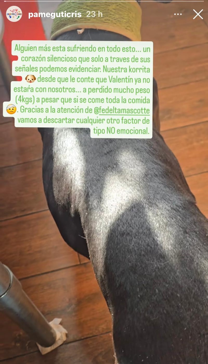 Historias de @pameguticris