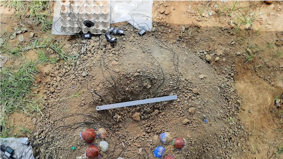 Investigadores descubrieron pruebas sorprendentes de que estas criaturas se valían de una combinación única de calor corporal y luz solar para incubar a sus crías. Foto: Chun-Yu Su.