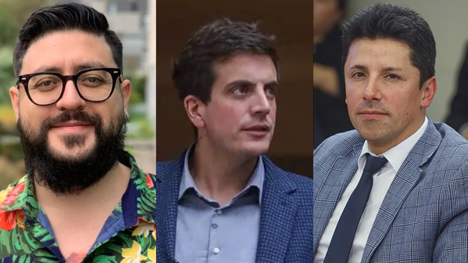 Parlamentarios RN - Collage - Publimetro