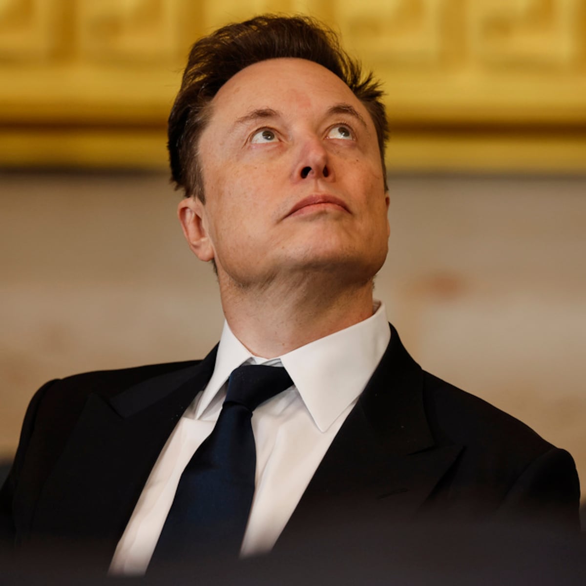 Elon Musk causa controversia con gesto en la asunción de Trump Elon Musk causa controversia con gesto en la asunción de Trump