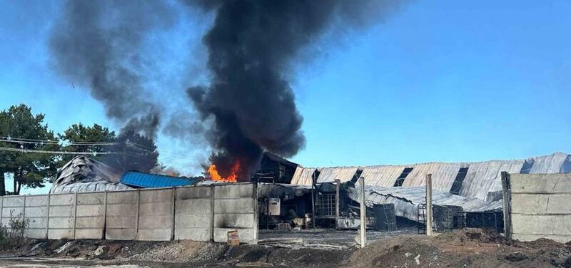 Foto web/ Diario de Concepción