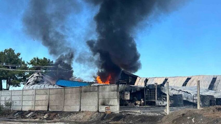 Foto web/ Diario de Concepción