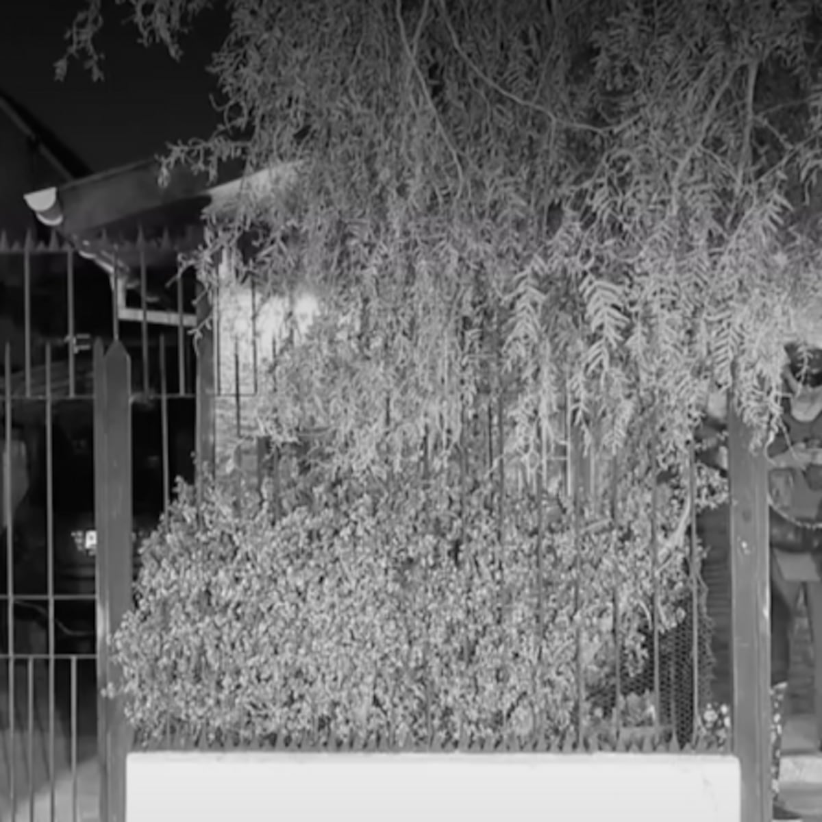 Padre golpeado y menores intimidados en turbazo en La Cisterna Padre golpeado y menores intimidados en turbazo en La Cisterna