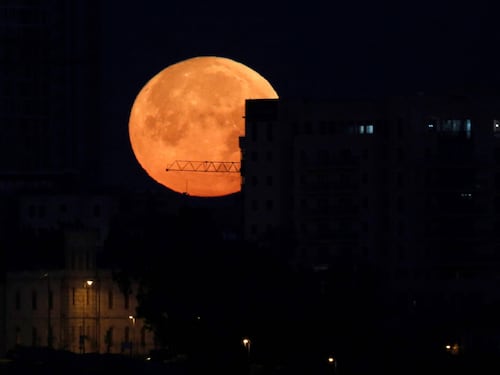 Eclipse histórico y luna roja: La luna se esconderá por casi 4 horas este viernes