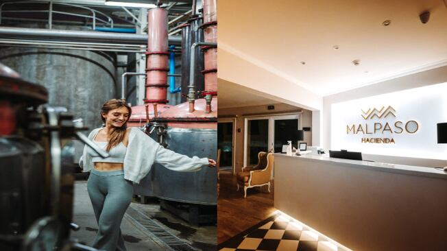 Conociendo la producción de Pisco MalPaso.