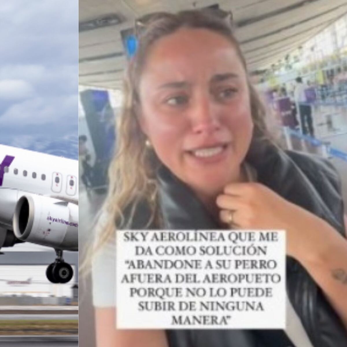 Aerolínea prioriza seguridad animal sobre influencer Aerolínea prioriza seguridad animal sobre influencer