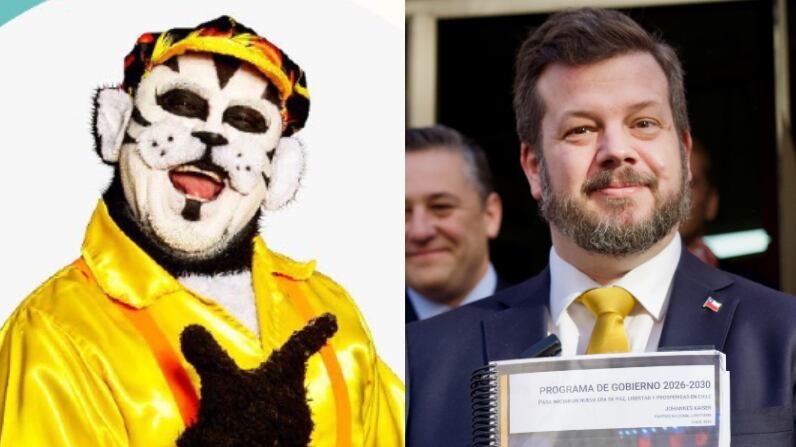 Gatito Juanito y Johannes Kaiser | Fuente: Instagram @gatojuanitooficial @joukaiser