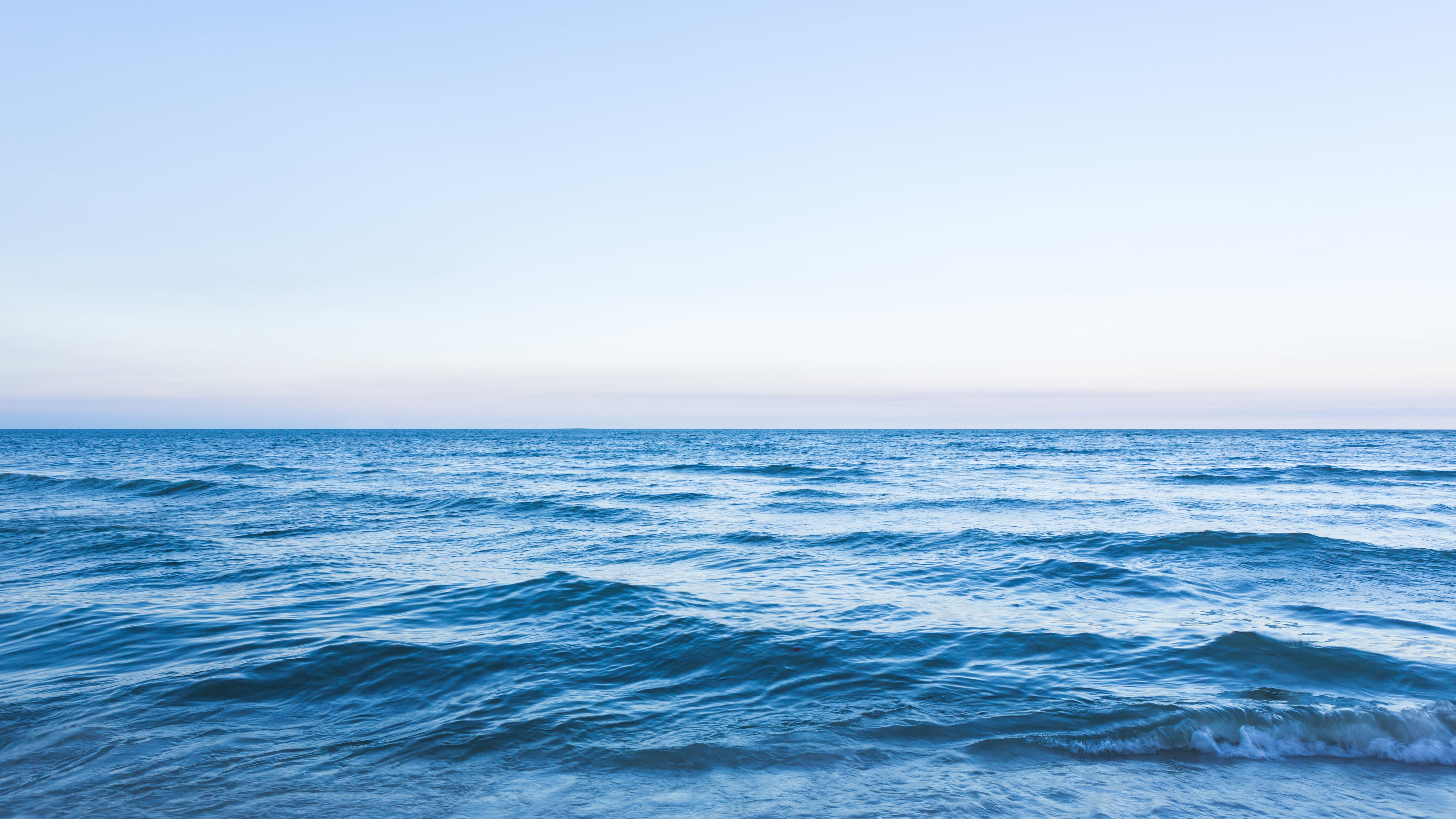 Las fotografías ganadoras del concurso “Fotógrafo submarino del año” nos muestran la belleza y lo impresionante de la vida submarina. Foto: Freepik.