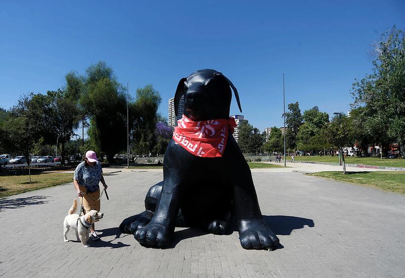 Perro Matapacos