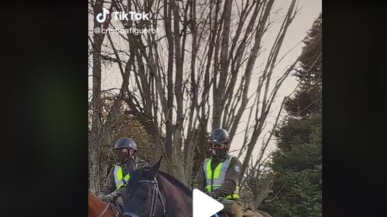 “¿Lo puedo tocar?”: la osada acción de mujer con carabinero que genera debate viral
