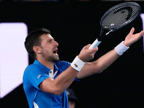 Djokovic se hartó y se pelea con un aficionado: ”Baja y dímelo a la cara”