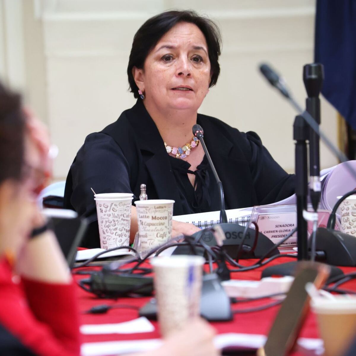 Senadora republicana alerta sobre crisis en residencias de protección a la infancia Senadora republicana alerta sobre crisis en residencias de protección a la infancia