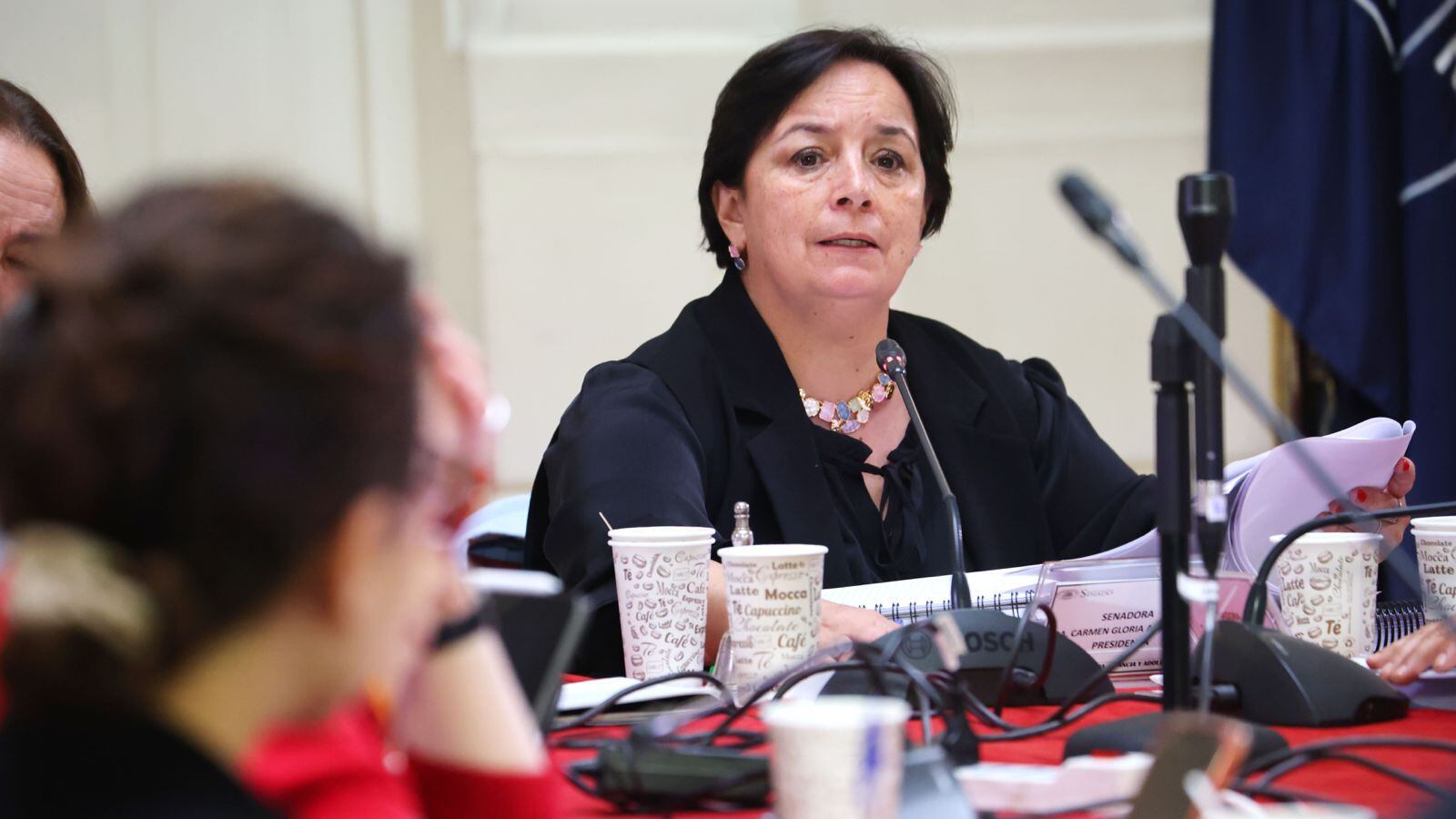 Carmen Gloria Aravena