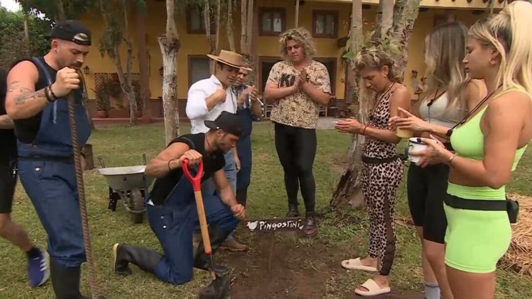 Funeral del gallo de Tierra Brava