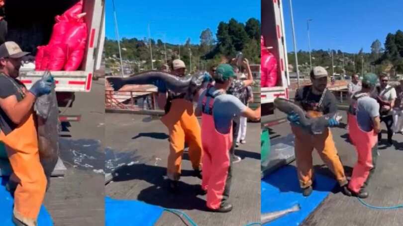 “El baile con los bacalaos”: Pescadores desaparecidos de la lancha Bruma aparecen en videoclip grabado solo días antes del naufragio