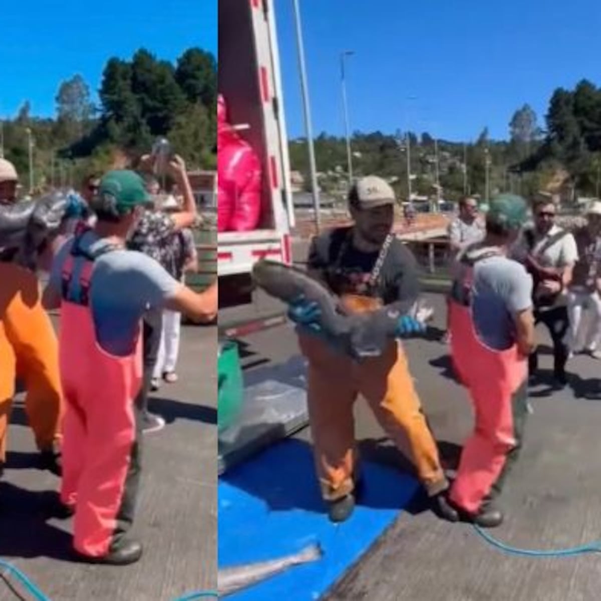Pescadores desaparecidos de la lancha Bruma aparecen en videoclip Pescadores desaparecidos de la lancha Bruma aparecen en videoclip