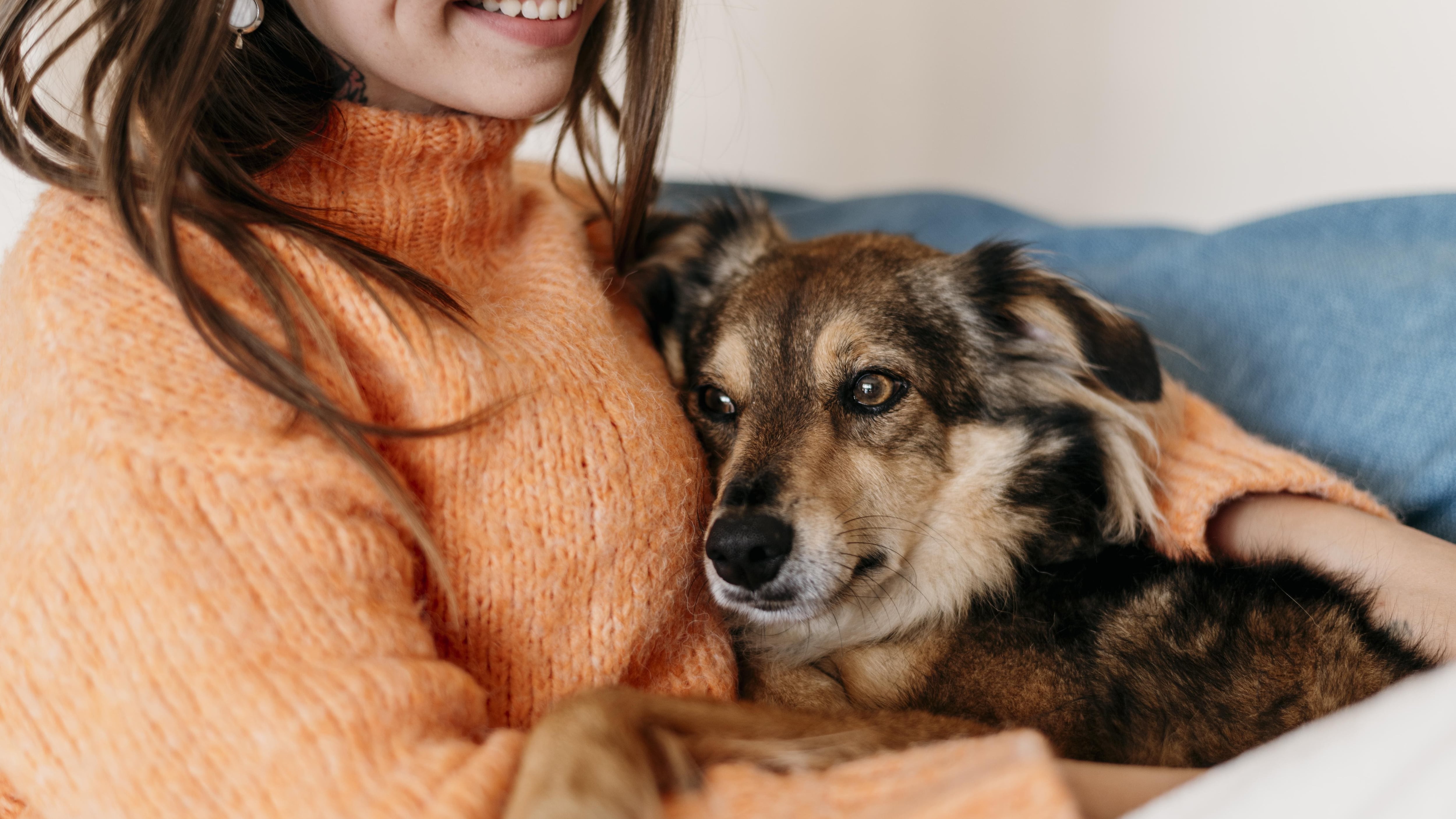 Una de cada cuatro mujeres siente que su mascota es como su hijo