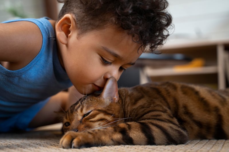 Un programa de entrenamiento de gatos dirigido a niños con discapacidades demostró beneficios tanto para los menores como para sus compañeros felinos. Foto: Magnific.
