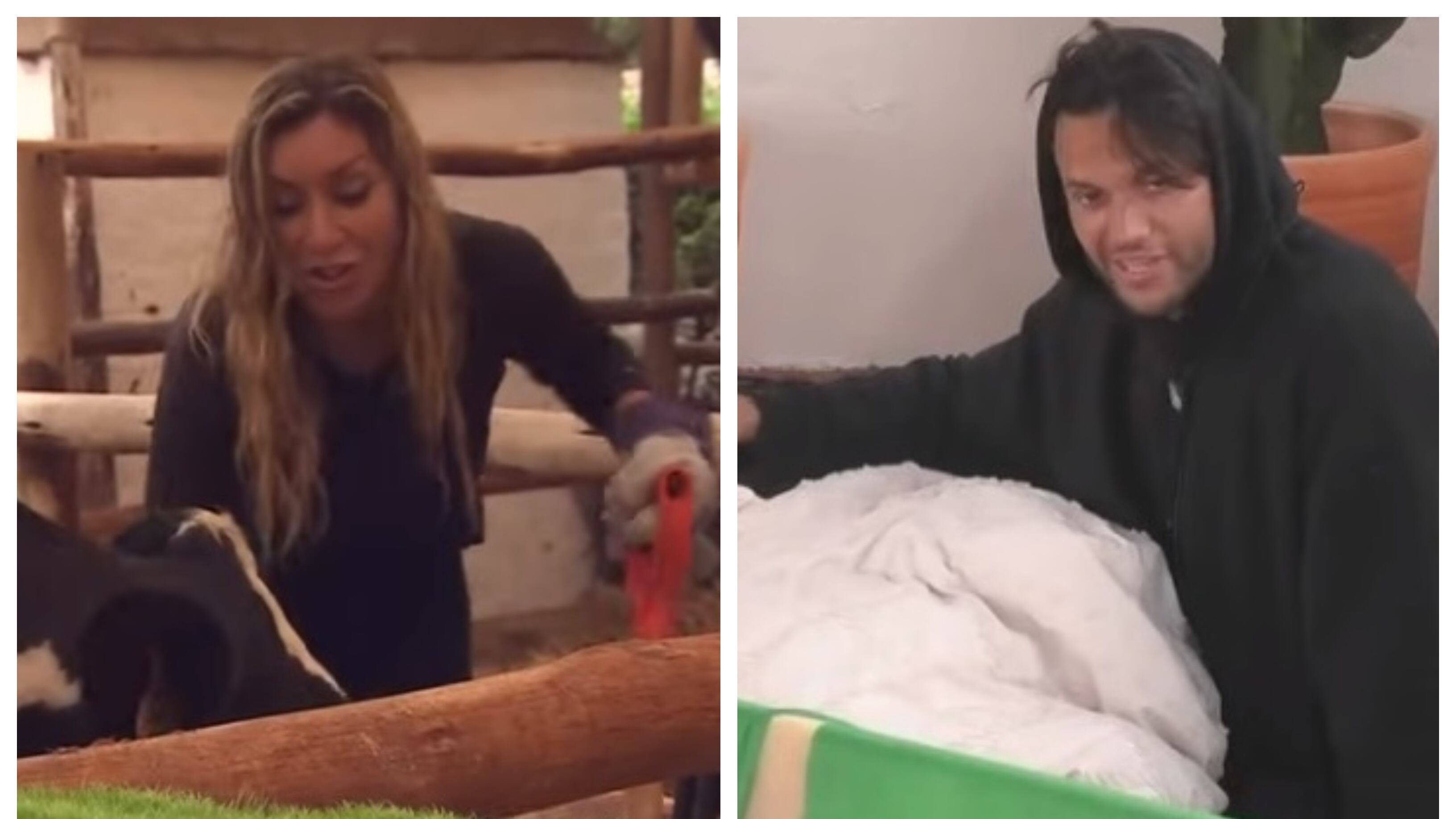 El español sinceró su molestia con la chica reality y la estrategia que seguirá en los próximos episodios para sacarla de quicio.