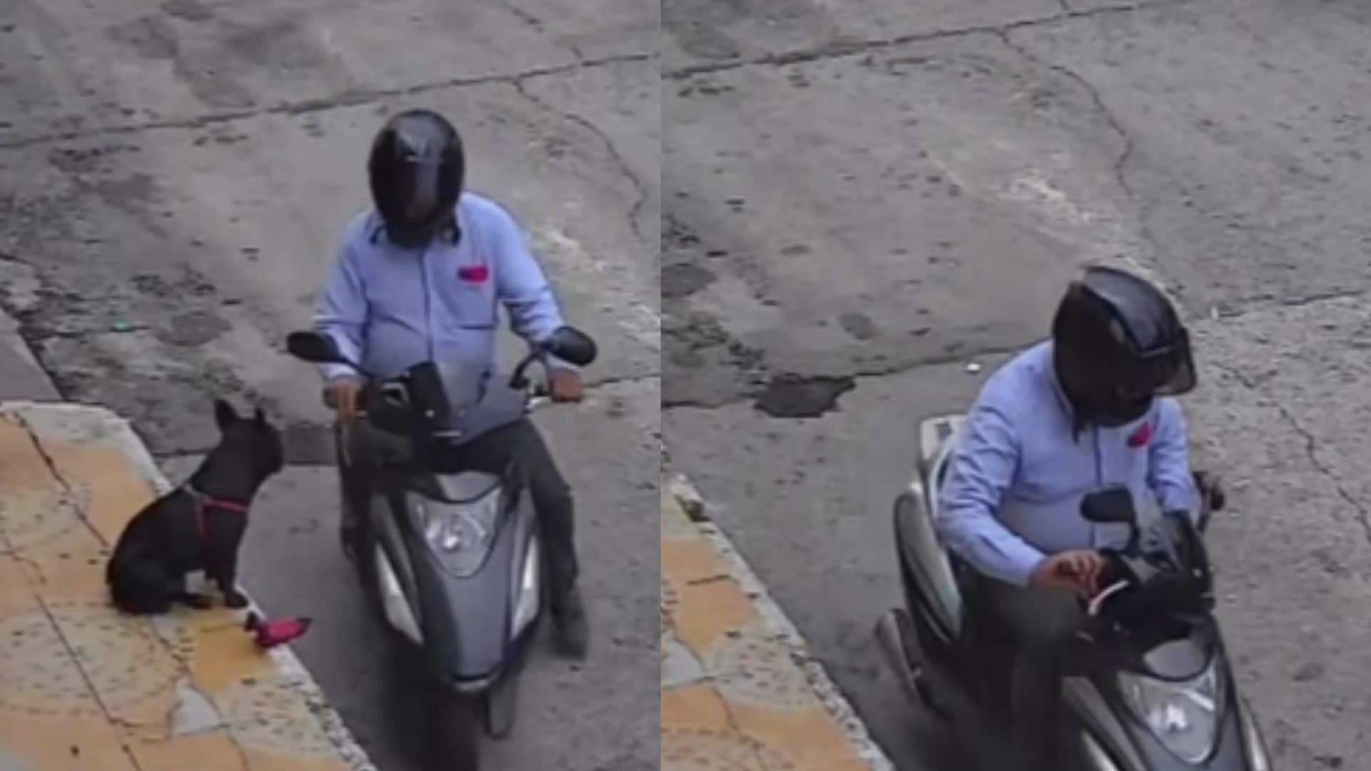 Hombre se robó juguete de perrito en Villavicencio