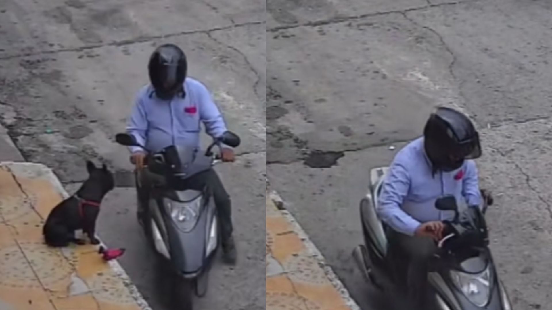 Hombre se robó juguete de perrito en Villavicencio