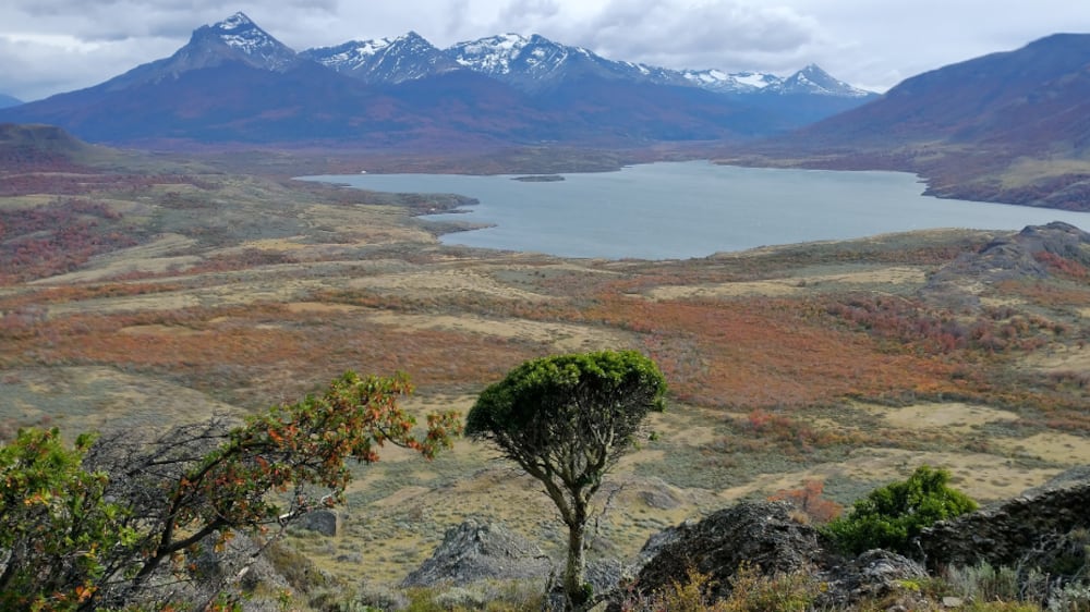 Ruta Rupestre Patagonia | Fuente: Publimetro