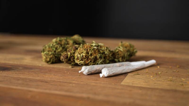 Según estudio, el consumo frecuente de marihuana afecta en la toma de decisiones y a la memoria