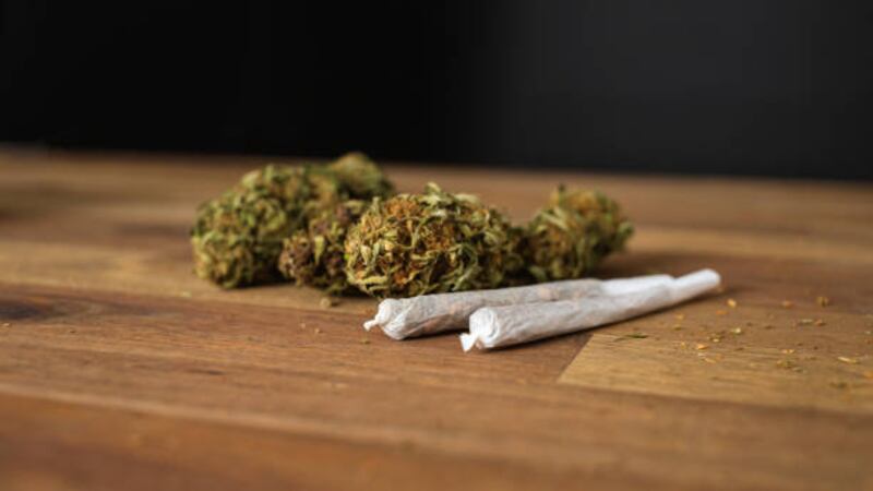 Estudio danés asegura que las personas que consumen marihuana tienen mejor desempeño cognitivo en un largo plazo