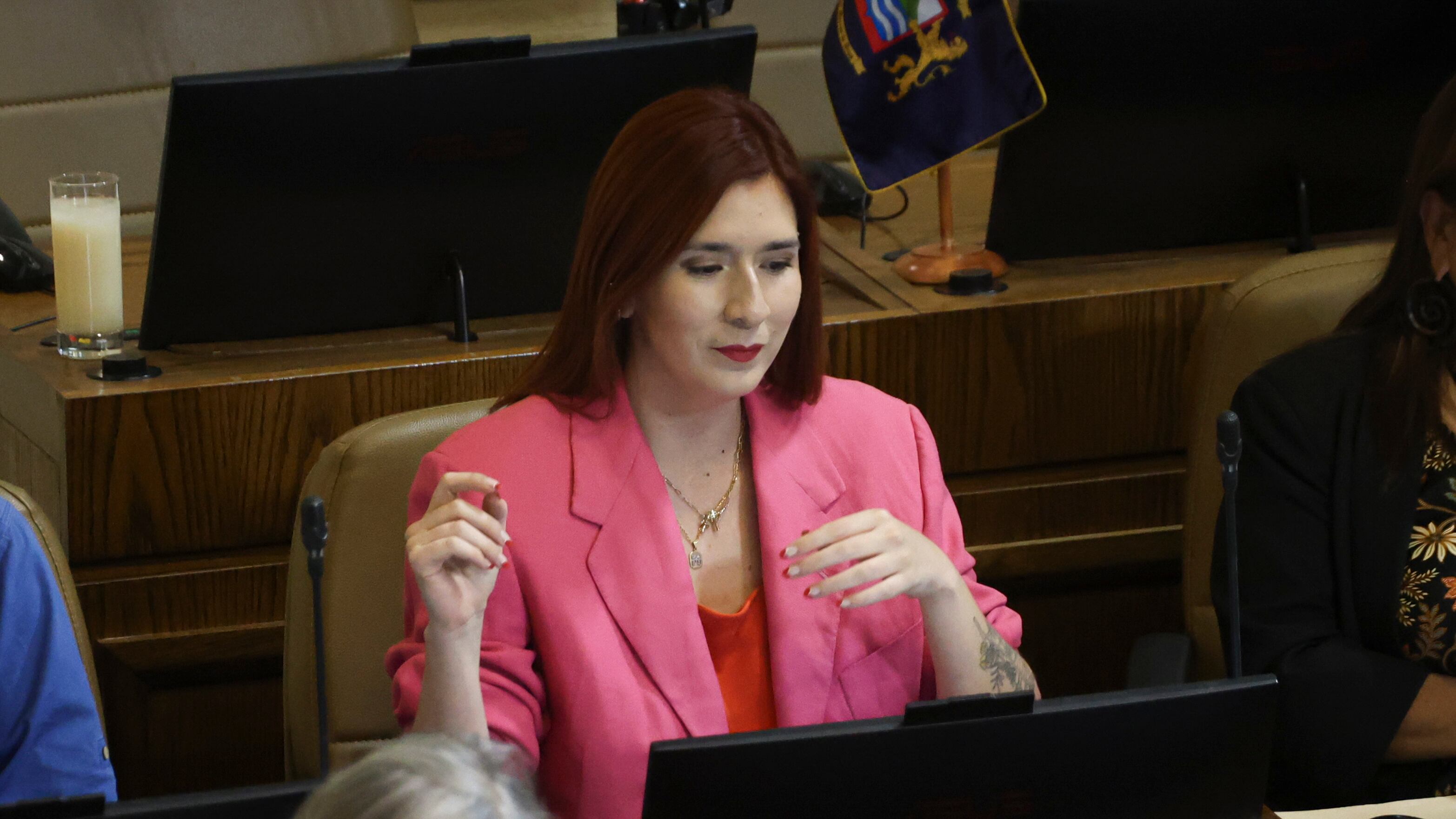 Desafuero Catalina Pérez