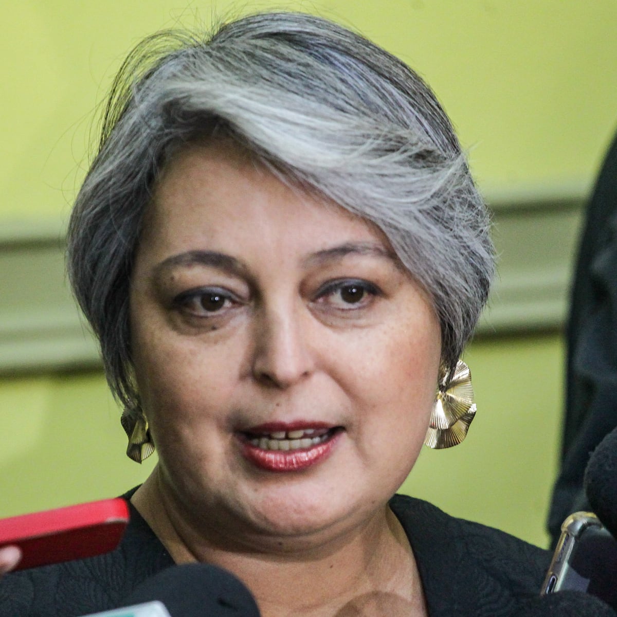 Jeannette Jara renuncia al Gobierno tras ser proclamada candidata del PC Jeannette Jara renuncia al Gobierno tras ser proclamada candidata del PC