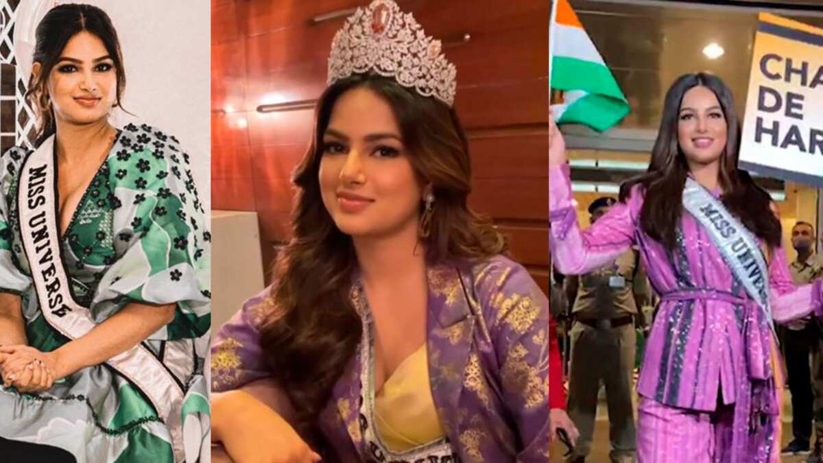 Miss Universo