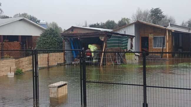 Producto de las graves consecuencias que dejó el paso del sistema frontal en la Región de La Araucanía, el Ministerio de Agricultura decretó Emergencia Agrícola en la zona. Esto permitirá que las personas damnificadas podrán recibir recursos económicos tras perder la producción producto de las inundaciones en sus siembras.
A esto, se suma que dicha región se encuentra con cuatro comunas con Alerta Sanitaria producto de las intensas lluvias.
“De acuerdo con la solicitud que hice al Ministerio de Agricultura, se ha firmado el decreto que declara Emergencia Agrícola en la región, por lo que estamos trabajando -en conjunto con los equipos municipales- para hacer los levantamientos exhaustivos de cuál ha sido el daño, con el objeto de generar recursos para ir en ayuda de esas familias, sobre todo del pequeño agricultor familiar campesino”, señaló la noche del lunes delegado regional, José Montalva.
Según informó el seremi de Agricultura, Héctor Cumilaf, sería cerca de 800 personas las afectadas afectadas por sistema frontal en la región, siendo las comunas de Angol y Renaico, de la provincia de Malleco, las que tienen mayor nivel de afectación.